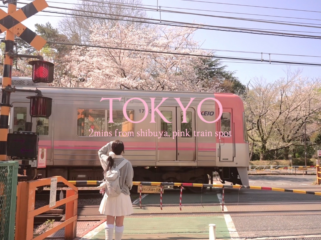 The pink train and the shower of cherry blossom petals looked straight out of a movie..🌸 ✩゜This was my absolute favorite railway track in Tokyo from this trip,,💗 It's just one stop from Shibuya, but since it was a spot I stumbled upon by chance, it was incredibly peaceful and filled only with locals, making it feel even more romantic🌸 (⸝⸝◜࿀◝ ⸝⸝)
A place where just standing still made every moment feel cinematic…🤍ෆ.*･ﾟ

📍3-chōme-10-13 Komaba, Meguro City, Tokyo 153-0041 Japan
📍〒153-0041 3-chōme-10-13 Komaba, Meguro City, Tokyo

My favorite railway spot in Tokyo, found by pure luck 🌸 Only 2 mins from Shibuya (metro), yet so quiet and local. Every second felt like a movie scene just by standing there. Pure romance... 💗◌ ｡˚✩˚ ｡