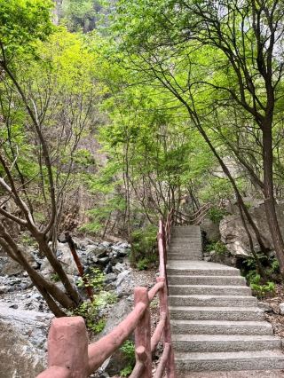 🌲 Yunmeng Mountain Royal Forest Park | A Breath of Nature