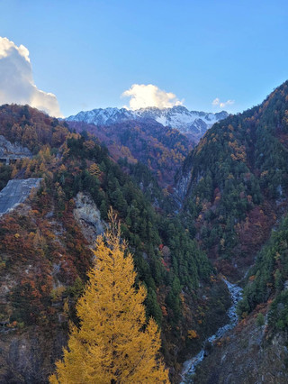  Kurobe Dam 觀賞日本阿爾卑斯山中壯麗的楓葉變色