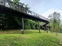 🌿✨ My Stroll at Bukit Batok Neighbourhood Park — A Peaceful West Side Escape! 🇸🇬