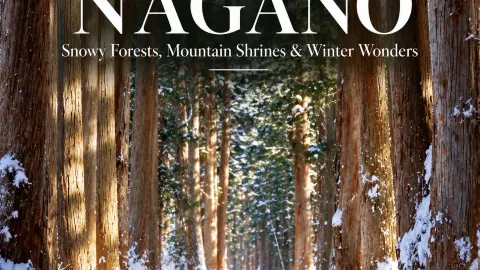 長野的冬天——雪猴、神聖森林與山中溫泉 — traveler post in 小布施町