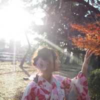 小眾賞紅葉的地方-名古屋城賞楓