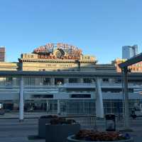 Window Shopping at Denver’s Downtown