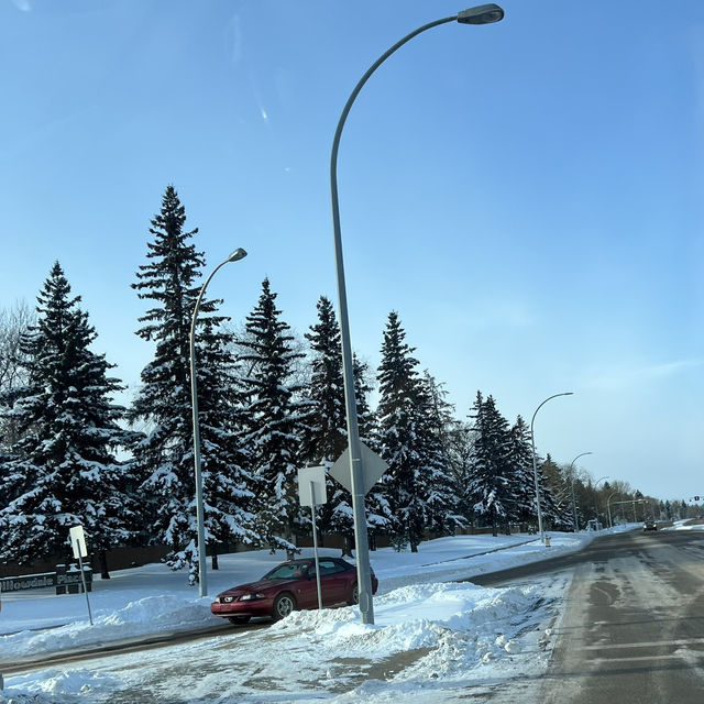 Edmonton Toronto 