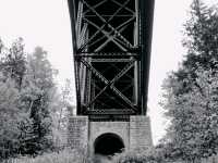 So much beauty to see at Cut River Bridge