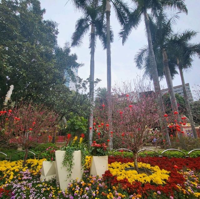 Spring Blooms in Guangzhou’s Culture Park! 🌸🌿