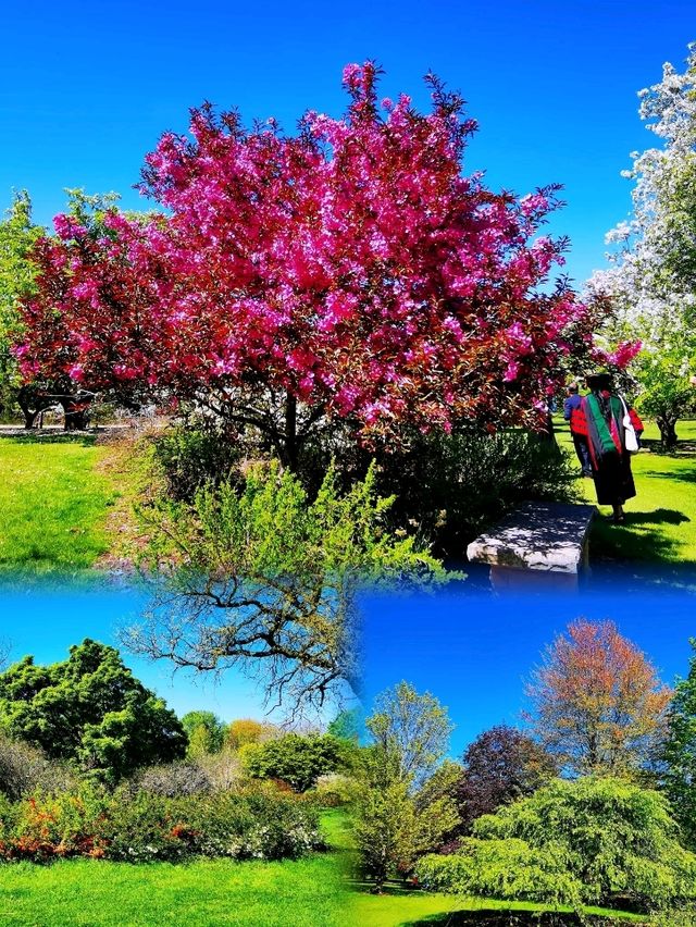 Longenecker horticultural Gardene(朗格內克園藝花園)