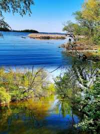 到 Lake Mendota(門多塔湖)徒步