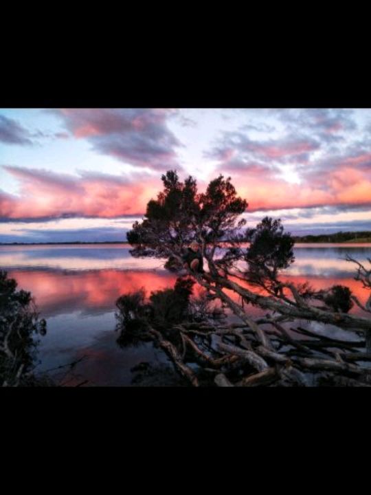 Anson's Bay Tasmania natures masterpiece