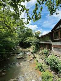 🏮【伊豆修善寺】隱世古町的日式療癒之旅🌿｜溫泉、竹林小徑、禪意滿滿✨