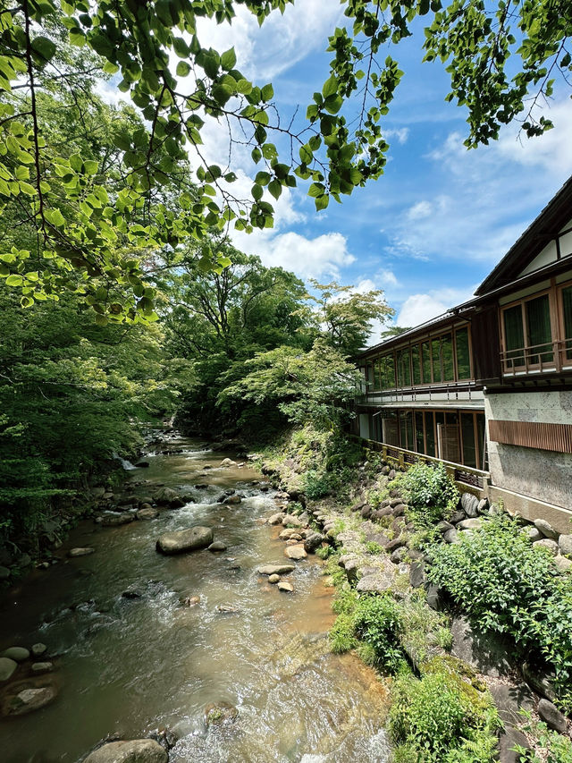 🏮【伊豆修善寺】隱世古町的日式療癒之旅🌿｜溫泉、竹林小徑、禪意滿滿✨