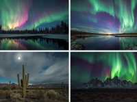 Winter’s Neon Sky Tripcom✨