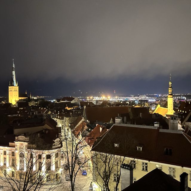 Tallinn Old town night lights
