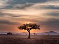 2 days Tanzania safari packages.