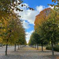 Autumn at Drottningholm Palace 🗺️