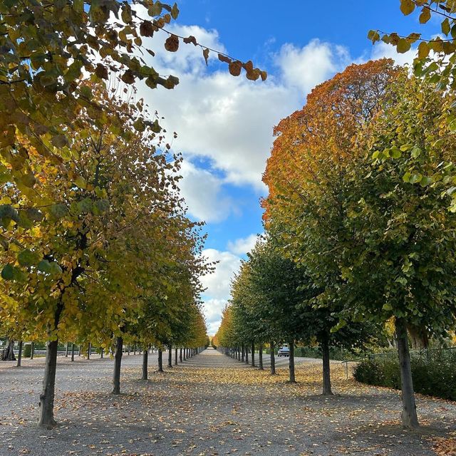 Autumn at Drottningholm Palace 🗺️