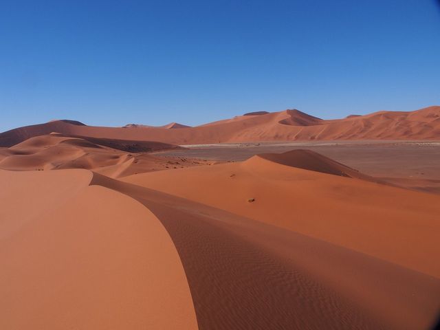 Wild Serenity in Namibia