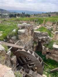 봄의 제라시(Jerash)