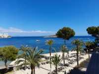 Fun & Food in Mallorca 