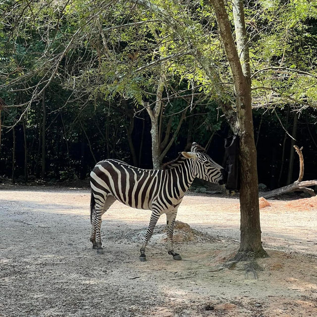 Riverbanks Zoo & Garden 🇺🇸