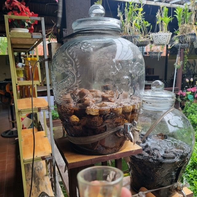 벌꿀 체험 현장 속으로 ~