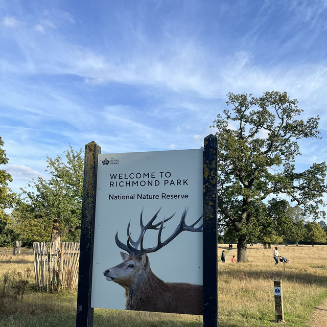Richmond Park Retreat: Nature’s Oasis in London