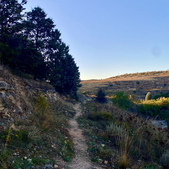 Picture-Perfect Stroll