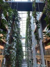 德法邊境城市斯特拉斯堡遊記