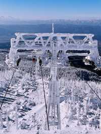 Tokyo to Yamagata Zao Onsen: The Perfect Getaway for Skiers & Non-Skiers Alike ❄️🏔️♨️