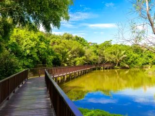 Enjoy the beauty of the "Green Lung of Bangkok": Bang Krachao!