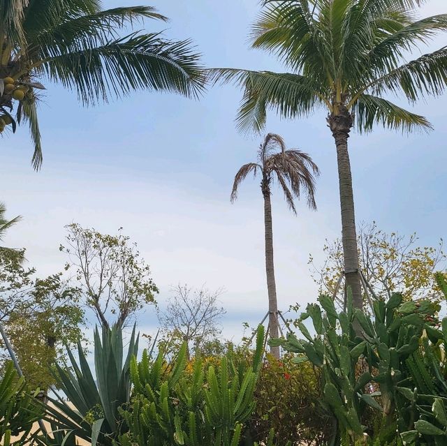 🌴🌊 Escape to Paradise at Dameisha Beach, Shenzhen! 🇨🇳