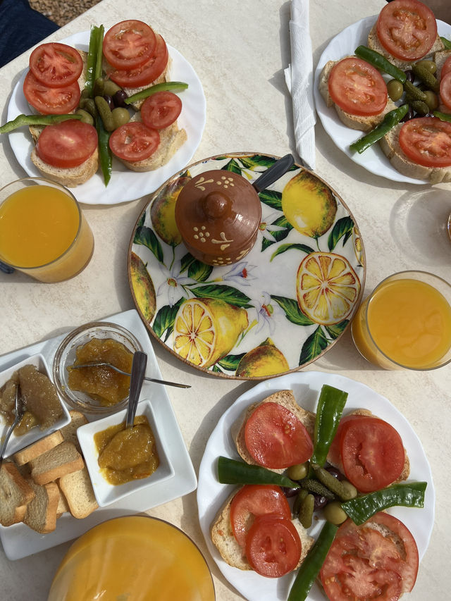 A citrus farm in Sollèr, Mallorca!🍋🍊