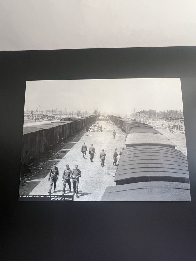 🇵🇱 克拉科夫奧斯威辛集中營（Obóz Koncentracyjny Auschwitz-Birkenau）
