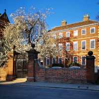 Spring in Cambridge: Where Ivy Grows and Rivers Flow