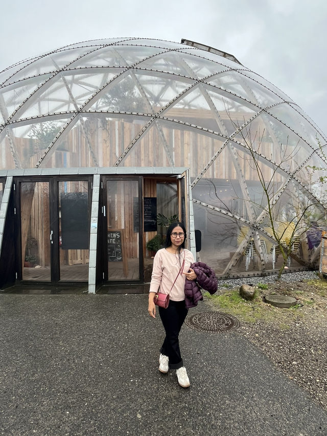 Aarhus Botanical Garden, Denmark