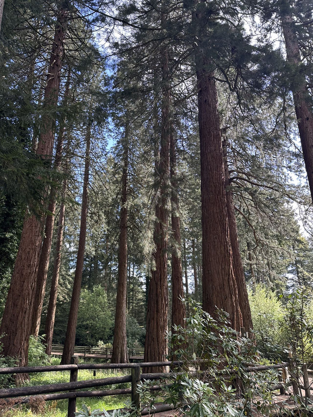 What a place to capture your heart! 