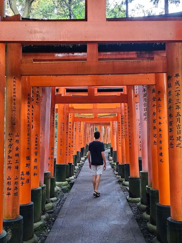 🇯🇵 My Ultimate 3-Week Japan Itinerary: Culture, Nature & City Buzz in One Epic Trip 🌸