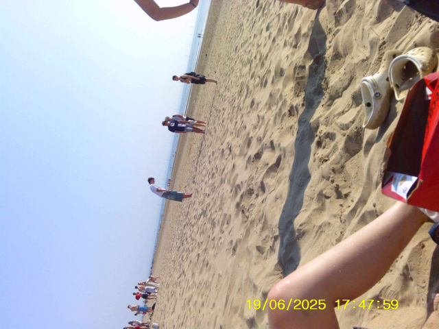 beach life or no life 