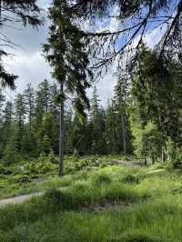 Mariánské Lázně: A Peaceful Escape for the Soul