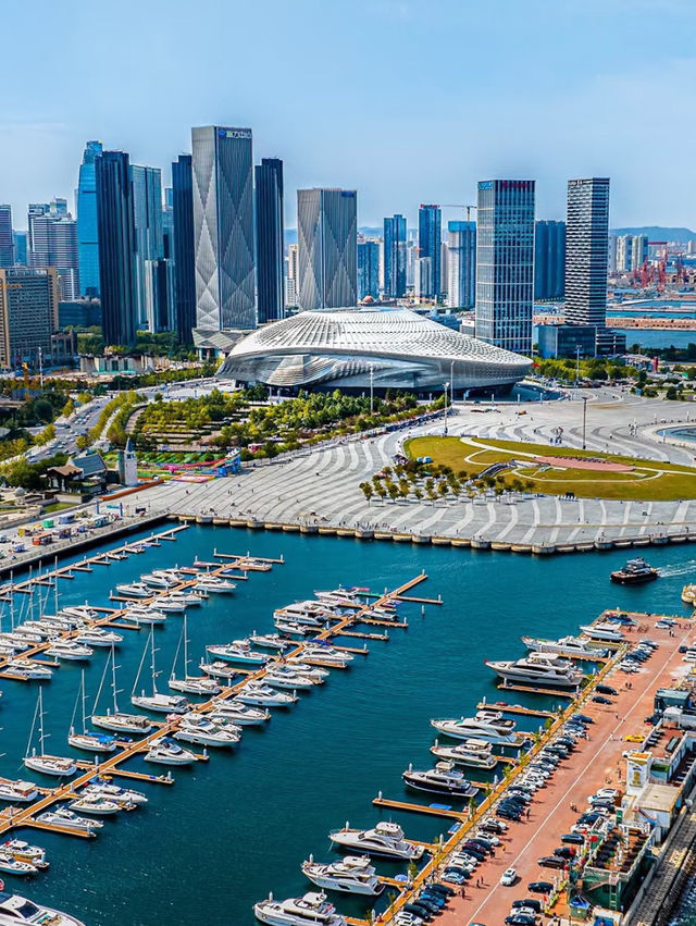 Seaside Strolls and City Lights: A Day in Dalian Donggang