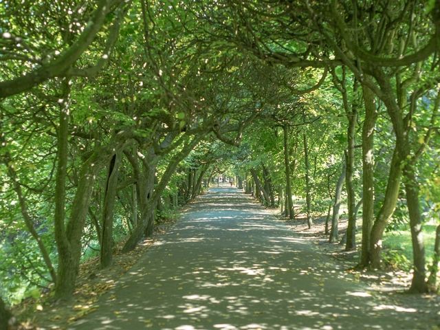 🌿 Park Oliwski: Peaceful Green Escape in Gdańsk