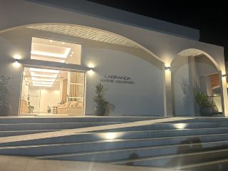 ホワイトオリーブマリンコス