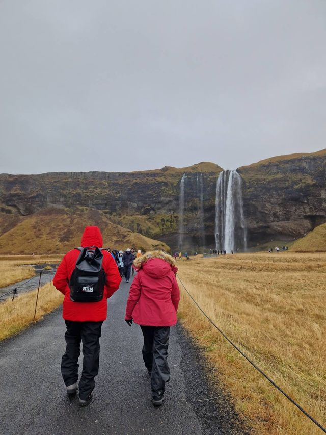 These Are the Most Beautiful and Magical Waterfalls in Iceland 🌈📸🌍
