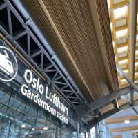 Oslo on a Budget: Fjords, Parks & Hidden Gems