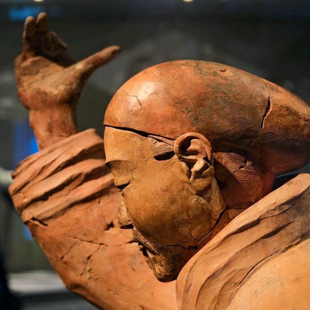 Terracotta Army, Hall of Cultural Relics / 2025 Terracotta Army, Hall of Cultural Relics / 2025