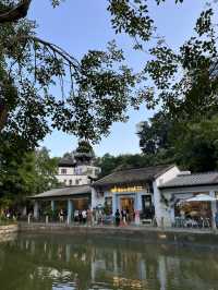 Hidden Shenzhen🌿🧋🍲🧧