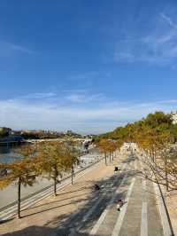 Lyon - Better France