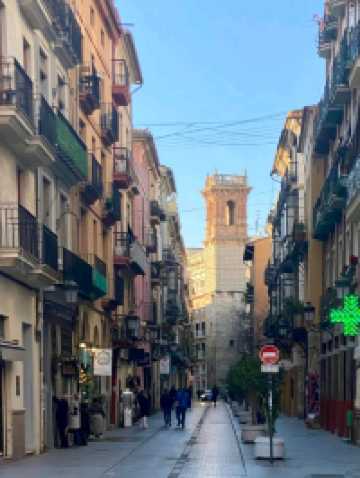 Sunny Street Vibes☀️