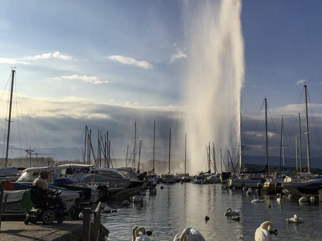 日內瓦:和平之都的湖光與日常