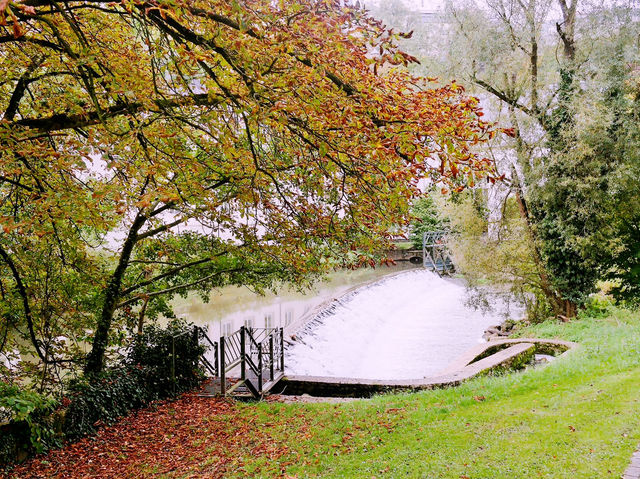 The Grand Secret is Out: Why Everyone is Flocking to Luxembourg 🇱🇺